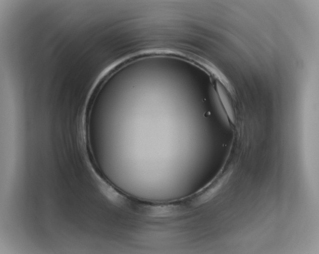 X0000112170988200908071155