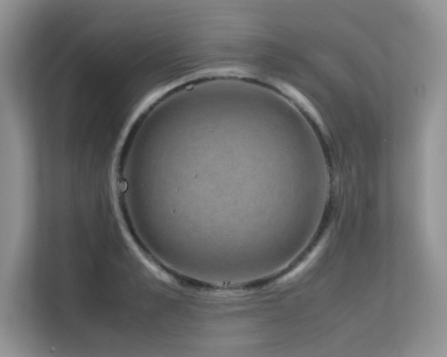 X0000112170989200908071154