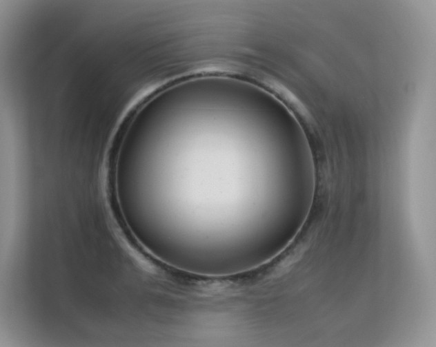 X0000112170991200908071154