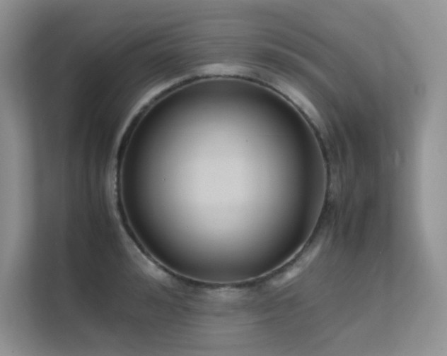 X0000112170992200908071154