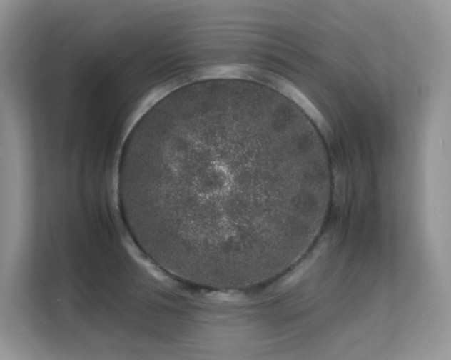 X0000112170994200908071154