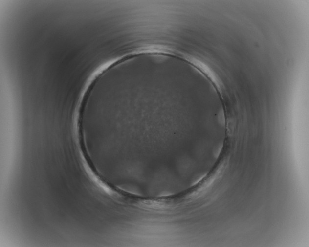 X0000112170995200908071154