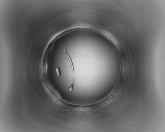 X0000112170996200908071154