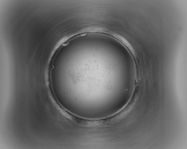 X0000112170997200908071154