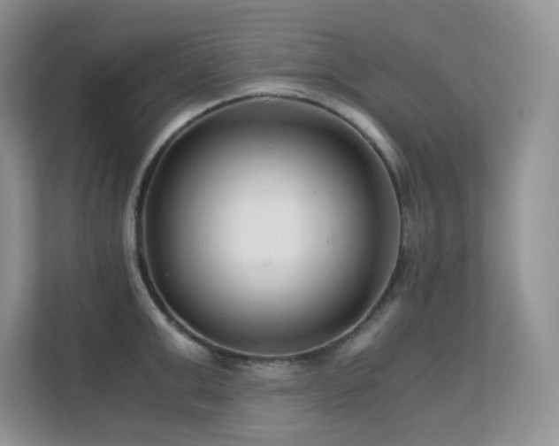 X0000112170999200908071154