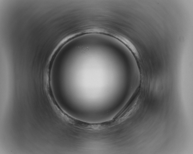 X0000112171000200908071154