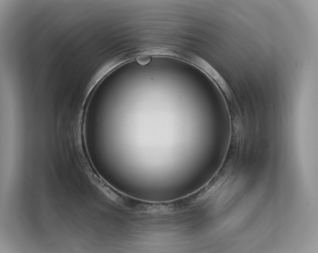 X0000112171002200908071154