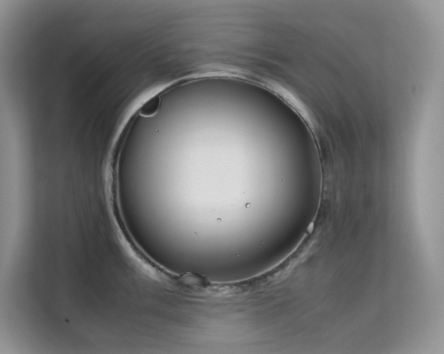 X0000112171003200908071154