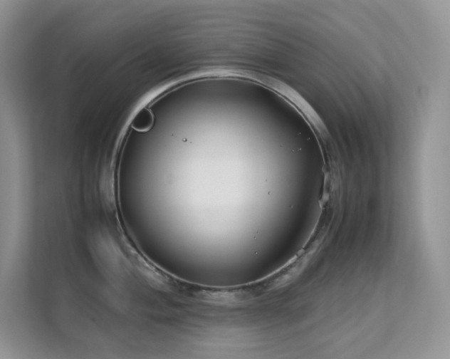 X0000112171004200908071154