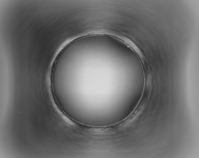 X0000112171005200908071154