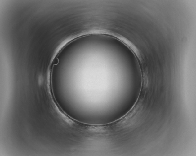 X0000112171006200908071154