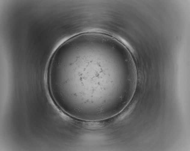 X0000112171007200908071154