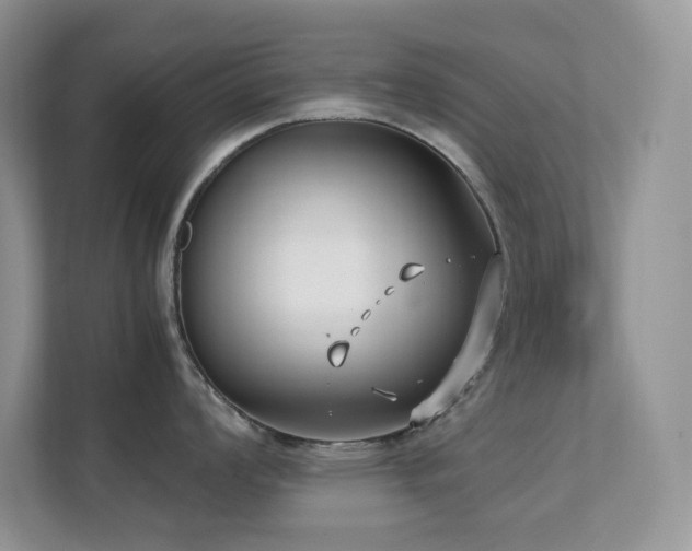 X0000112171008200908071154