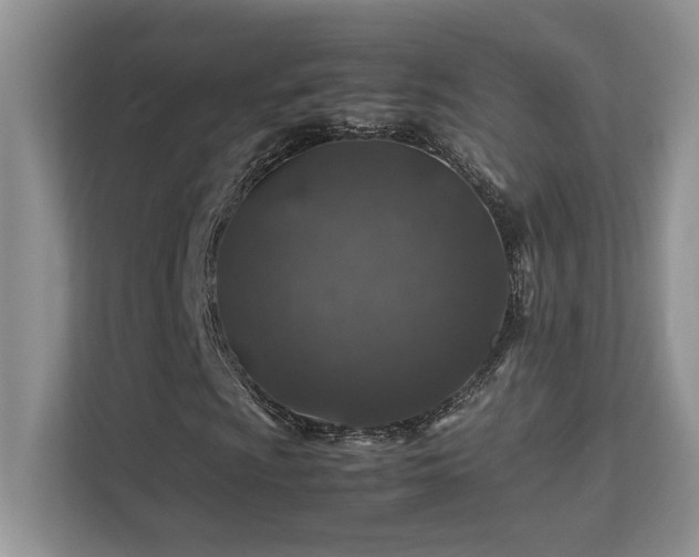 X0000112171009200908071154