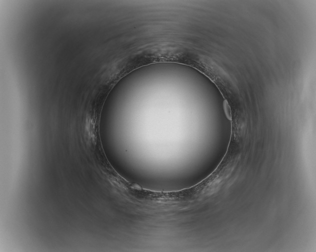 X0000112171010200908071154