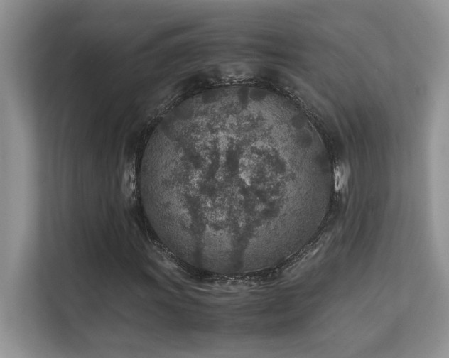 X0000112171011200908071154