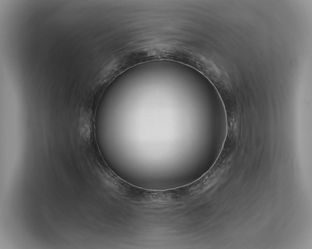 X0000112171012200908071154