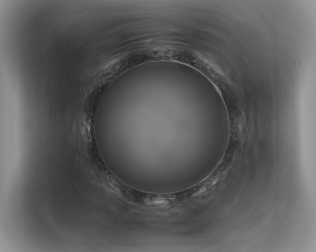 X0000112171013200908071154