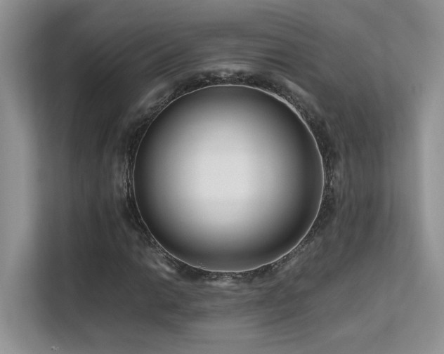 X0000112171014200908071154