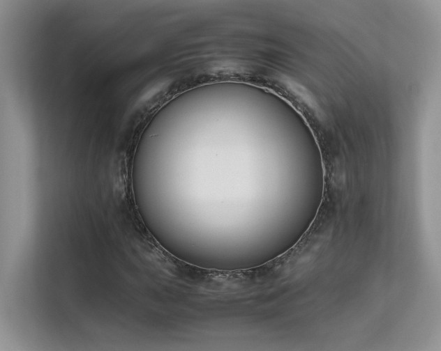 X0000112171015200908071154