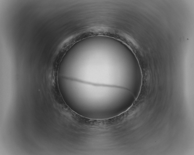 X0000112171016200908071154