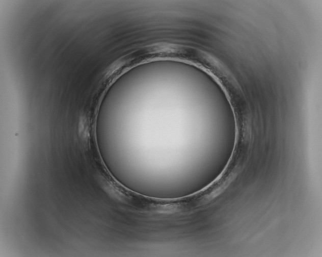 X0000112171017200908071154