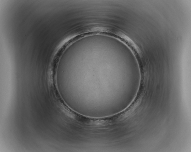 X0000112171019200908071154