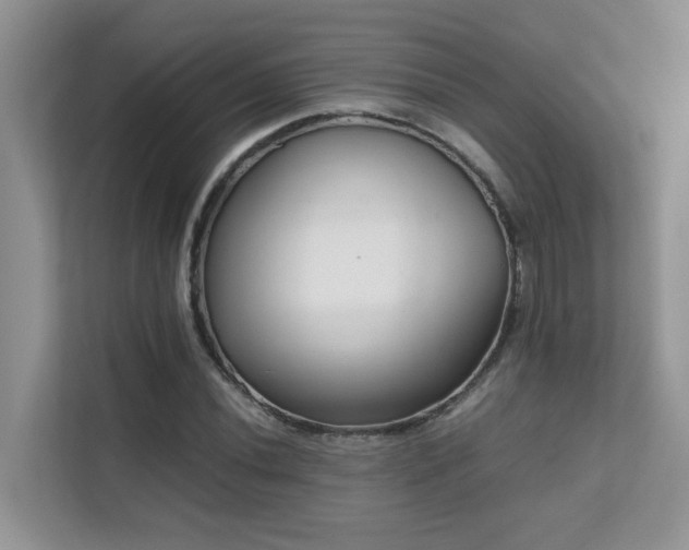 X0000112171020200908071154