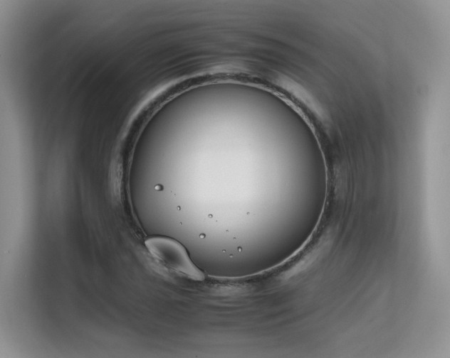 X0000112171021200908071154