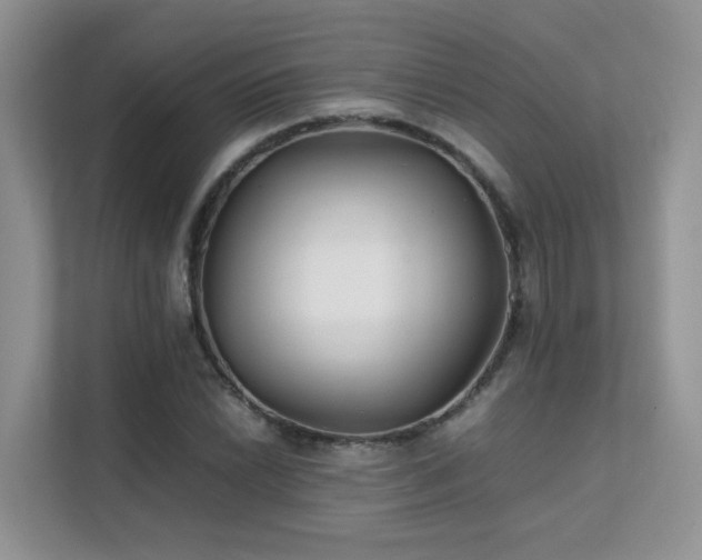 X0000112171022200908071154