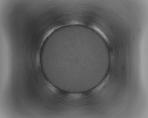 X0000112171023200908071154