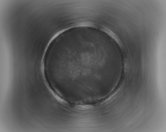 X0000112171024200908071154