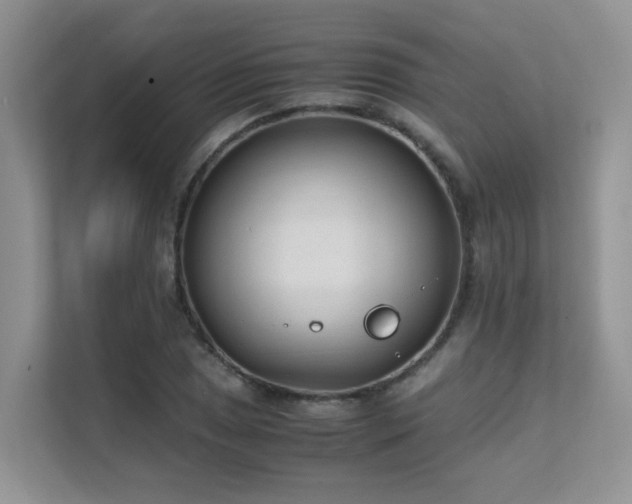 X0000112171025200908071154