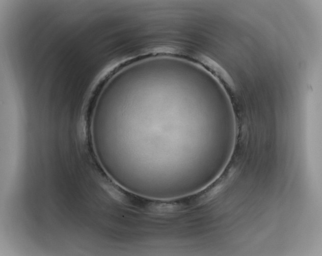 X0000112171027200908071154