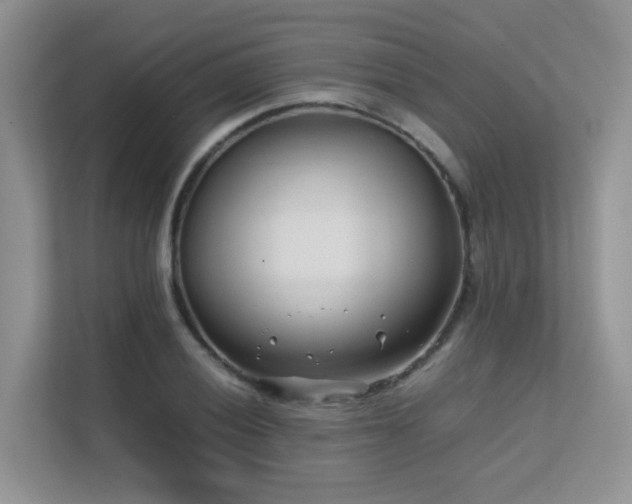 X0000112171028200908071154