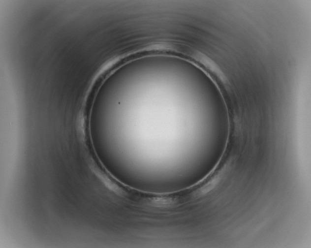 X0000112171029200908071154