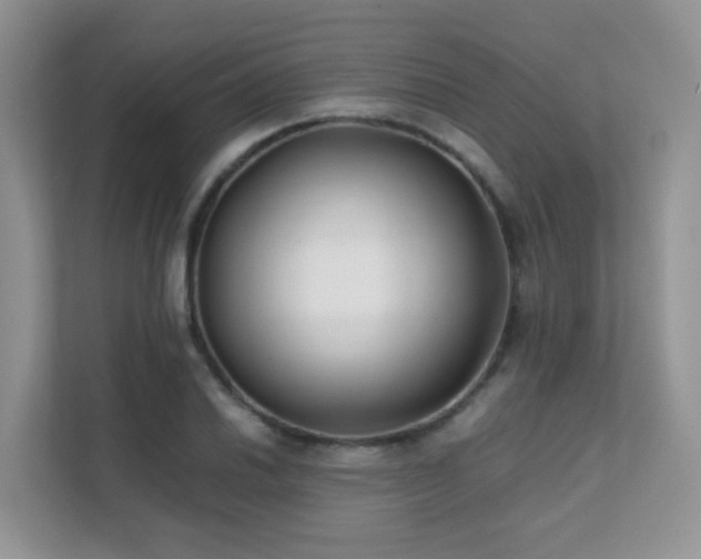 X0000112171030200908071154