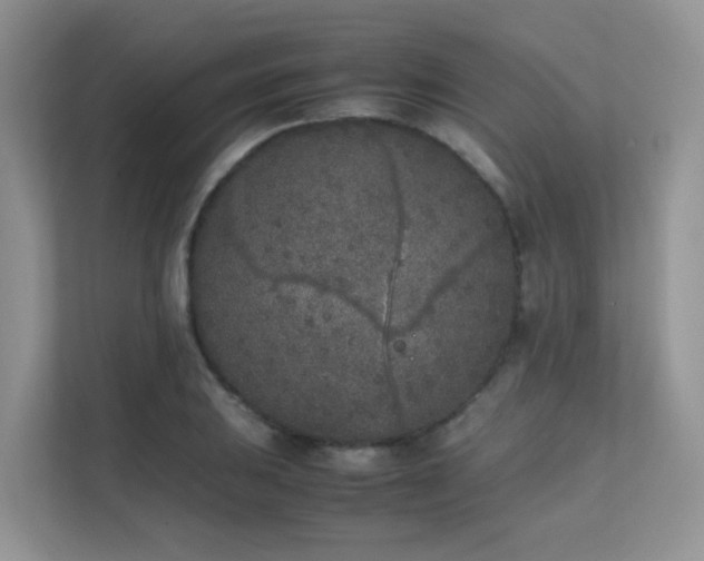 X0000112171031200908071154