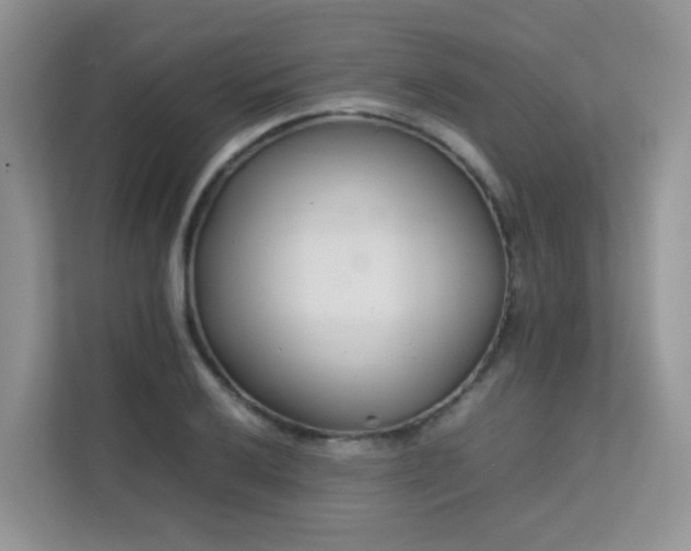 X0000112171032200908071154