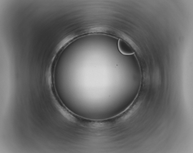 X0000112171034200908071154