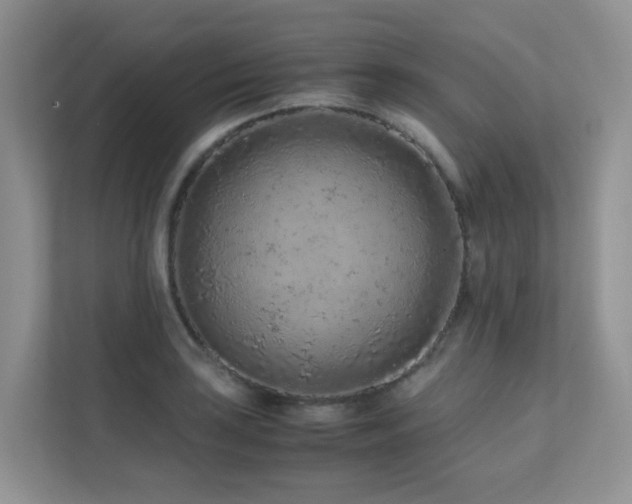 X0000112171035200908071154