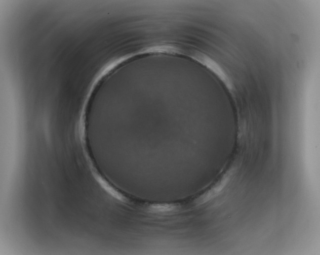 X0000112171037200908071154