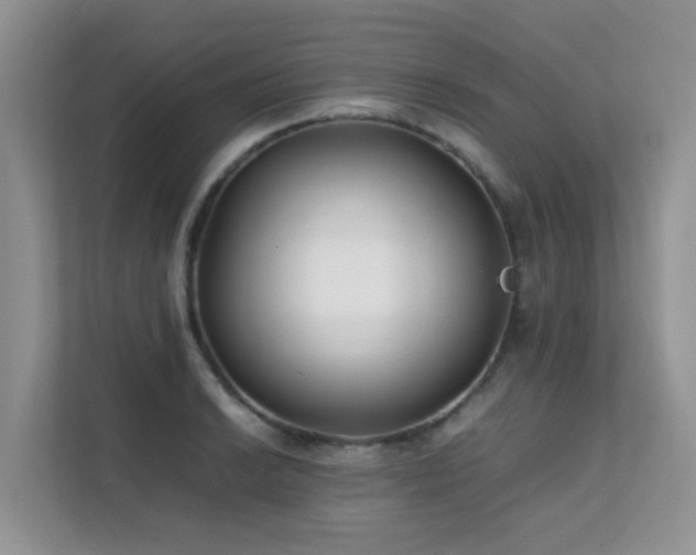 X0000112171038200908071154