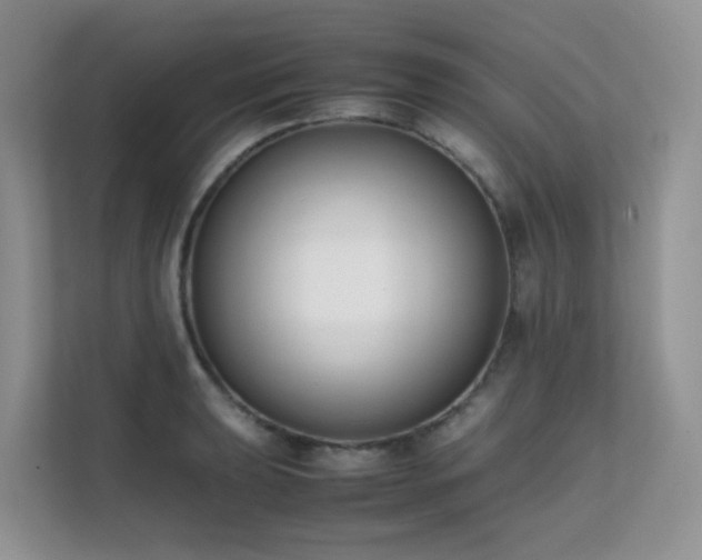 X0000112171039200908071154