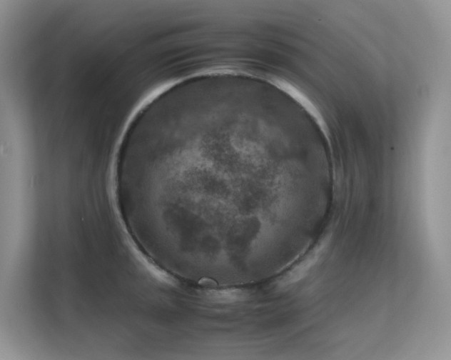 X0000112171045200908071154