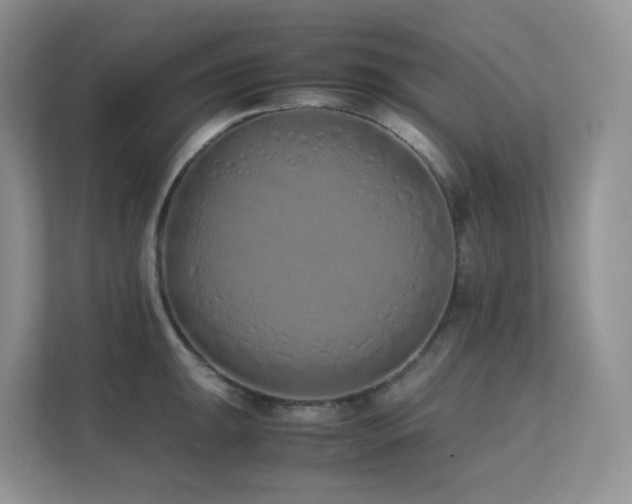 X0000112171047200908071154