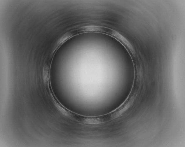 X0000112171049200908071154