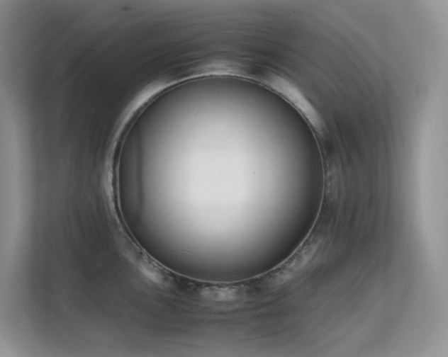 X0000112171051200908071154