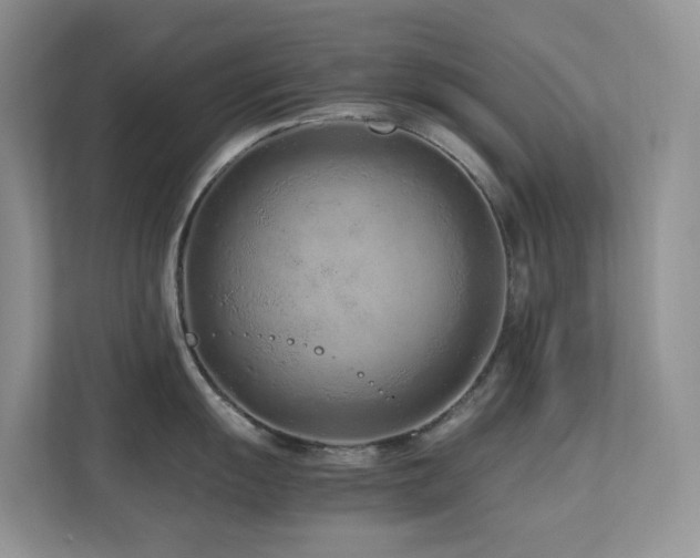 X0000112171055200908071154