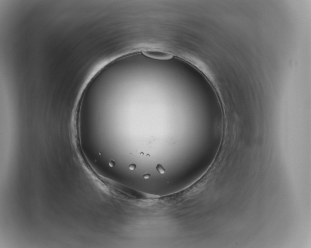 X0000112171056200908071154